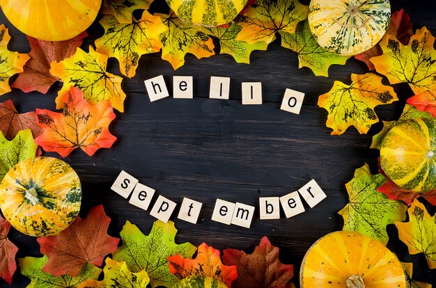 Foto superfície de outono com abóboras, folhas e texto