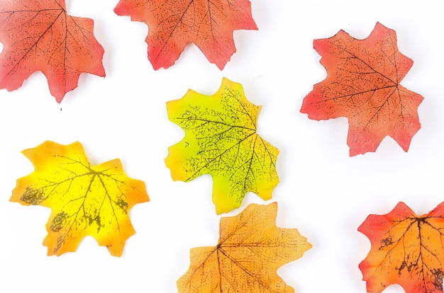 Superfície de outono com folhas coloridas brilhantes