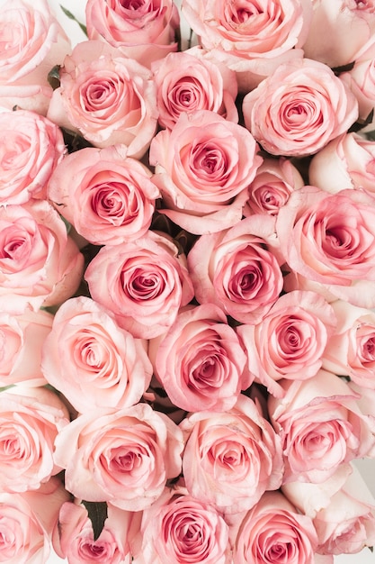 Foto superfície de padrão de flores rosa rosa