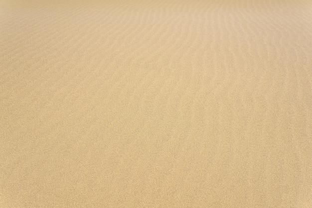 Superficie del desierto de arena de fondo natural con ondas de viento