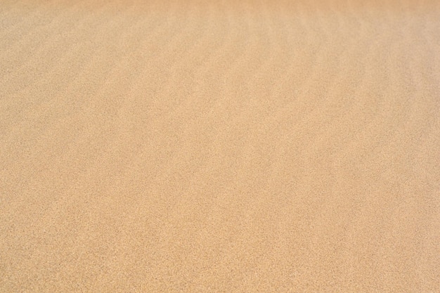 Superficie del desierto de arena de fondo natural con ondas de viento