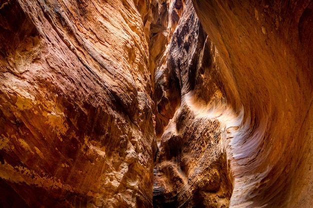 Superfície erodida abstrata de rochas de arenito em petra, Jordânia