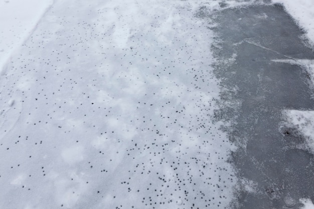 La superficie del lago congelada en hielo.