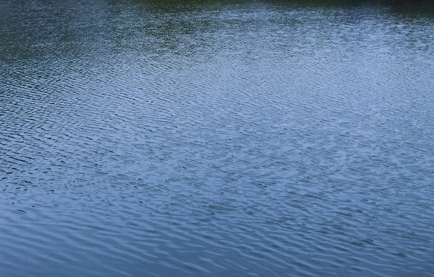 La superficie del lago está de cerca.