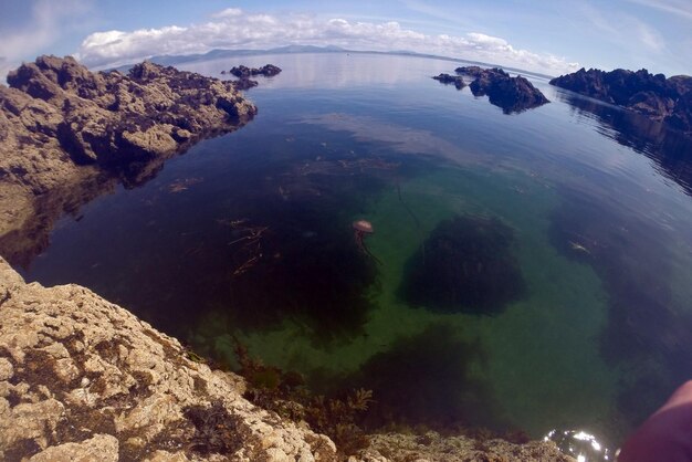 Foto superficie lisa de un lago de montaña en la lente del ojo de pez