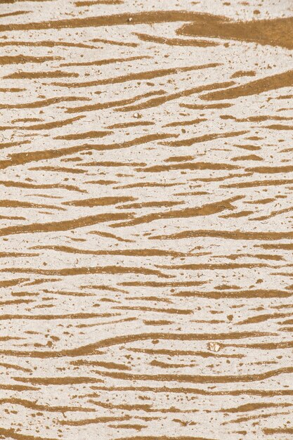 Foto superficie de madera como textura de fondo sólida