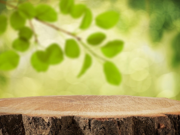 Superficie de madera Stump Tablero de la tala de un árbol sobre un fondo natural