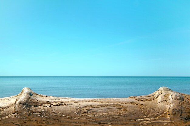 Superficie de madera de tronco de árbol desgastado en la orilla del hermoso mar turquesa Plantilla de podio para demostración de producto