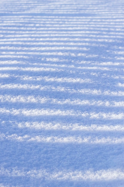 Foto superficie de nieve azul con sombrillas de la valla rural en un día de invierno helado