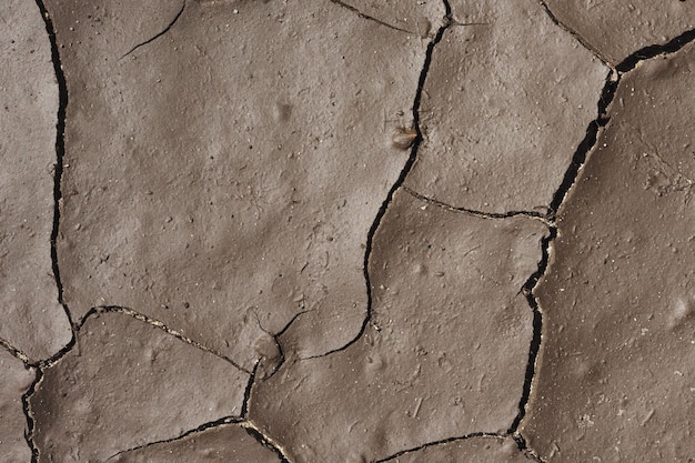 superficie o textura de tierra o tierra agrietada gris húmeda