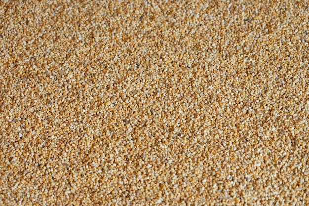 Superficie de piedra de grano pequeño Dibuje el patrón como una curva Zen como imagen de fondo.