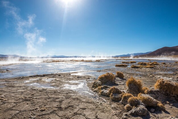 Foto superficie soleada cubierta de vapor y géiseres en bolivia