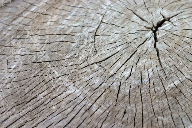 Superficie de textura de madera