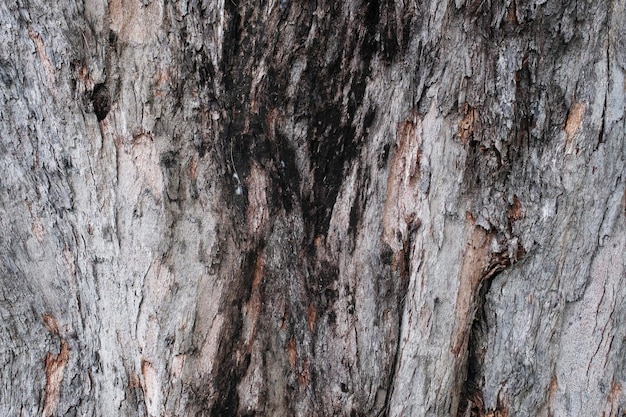 Superficie vieja de fondo de madera marrón