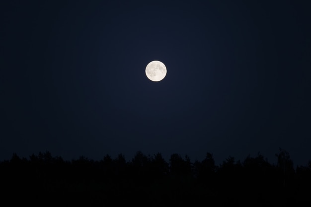 Superlua sobre floresta no céu noturno escuro