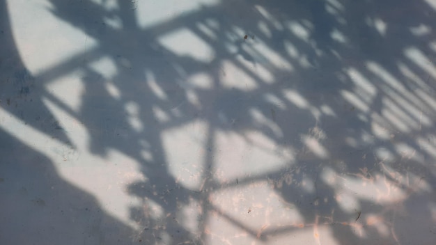 Superposición de fondo con adornos de sombra de hoja en una pared azul