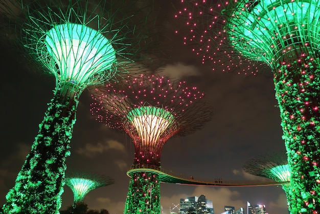 Supertree Grove Gardens by the Bay im Zentrum von Singapur. Es ist eine Musik- und Lichtshow, wenn Bäume in verschiedenen Farben beleuchtet werden