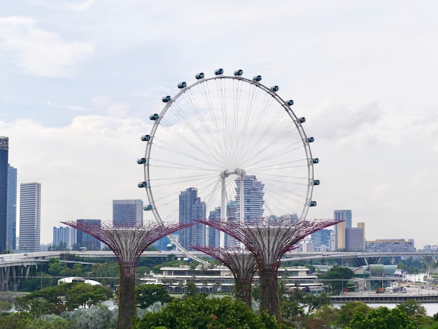 Supertree Grove y Singapore Flyer en Gardens By The Bay