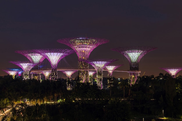 SuperTree Grove en Singapur