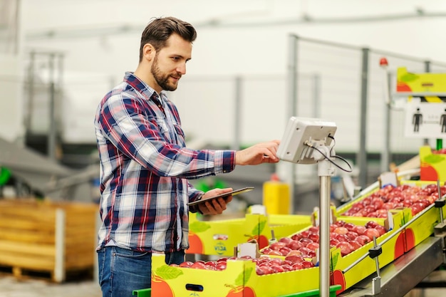 Un supervisor con una tableta en las manos junto a una cinta transportadora con manzanas y midiéndolas