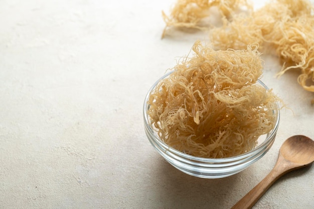 Suplemento alimenticio saludable Golden Dry Sea Moss rico en minerales y vitaminas utilizados para la nutrición y la salud