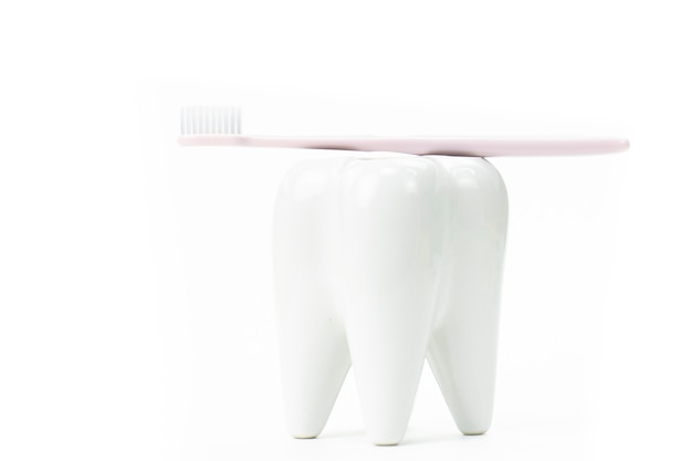 Suporte de escova de dentes em forma de dente molar primário com escova de dentes