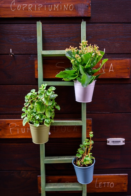 Suporte de planta com vasos de plantas