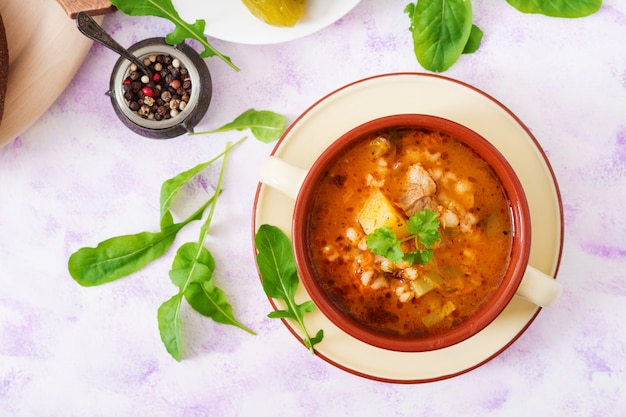 Suppe mit eingelegten Gurken und Perlgerste - rassolnik auf einem Leuchttisch. Draufsicht. Flach liegen