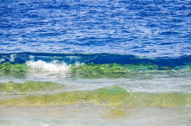 Surf leve no mar durante o vento quente. Egito, Sharm El Sheikh.