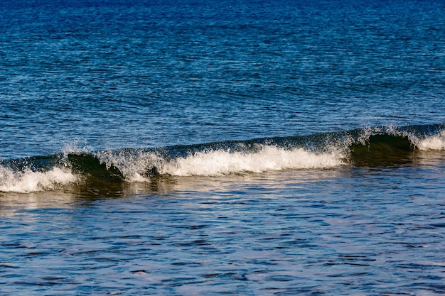 Surf, olas en la costa del mar de Barents en otoño en tiempo soleado. Península de Kola, Rusia.