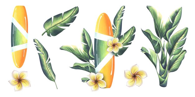 Foto surfbrett in gelb und grün mit streifen mit tropischen blättern und frangipani-blüten. aquarell-illustration, handgezeichnet. satz isolierter elemente auf weißem hintergrund