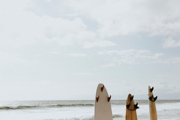 Surfbrettmodell am Strand