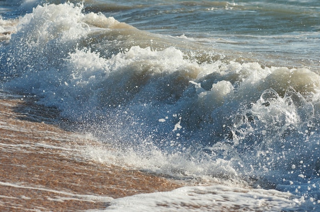 Surfe no mar grande quebra de onda na costa