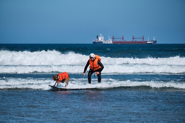 Surfer mit Helm und Schwimmweste beim Surfen mit seinem deutschen Schäferhund in einem Hafen