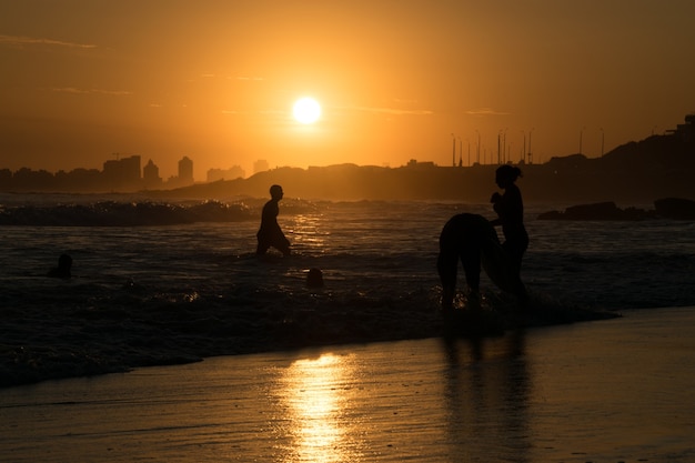 Surfista en el agua