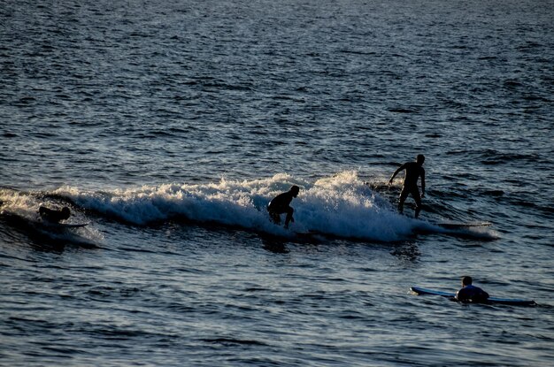 Surfista de silhueta ao pôr do sol