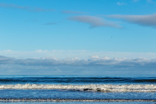 Foto un surfista monta una ola en la playa.