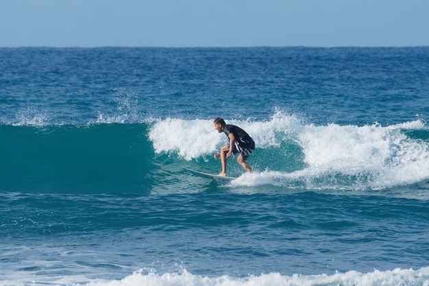 Surfista que monta rapidamente na onda azul tropical perfeita.