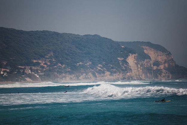 Surfistas en el mar con olas