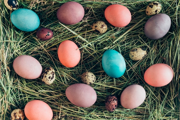 Surpresas de Páscoa. Vista superior de ovos de Páscoa multicoloridos no feno