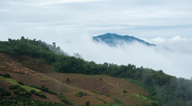 Surreale Landschaft von MorgennebligMorgenwolken bei SonnenaufgangLandschaft von Nebel und Bergen im Norden Thailands