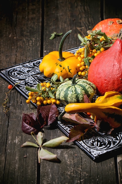 Surtido de diferentes calabazas y bayas.