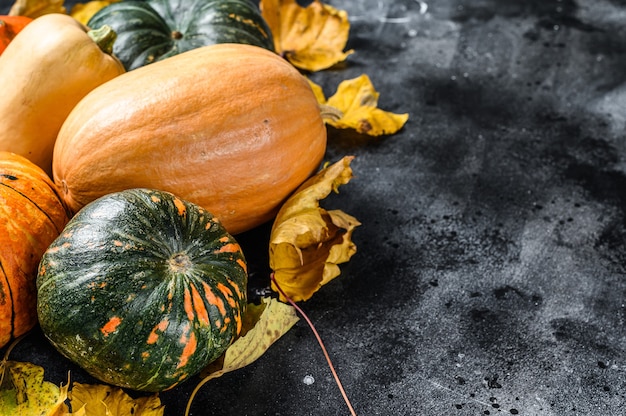 Surtido diverso de calabazas en una mesa