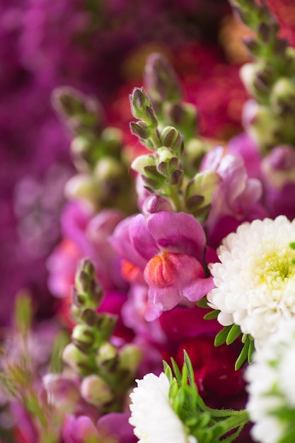 Surtido de flores en flor fotografía macro