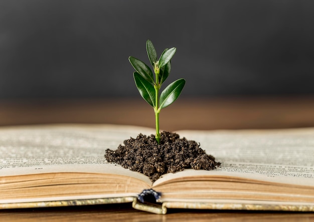 Foto surtido con libro y planta en suelo