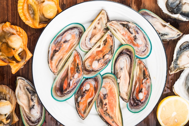 Surtido de mejillones y ostras de mariscos frescos