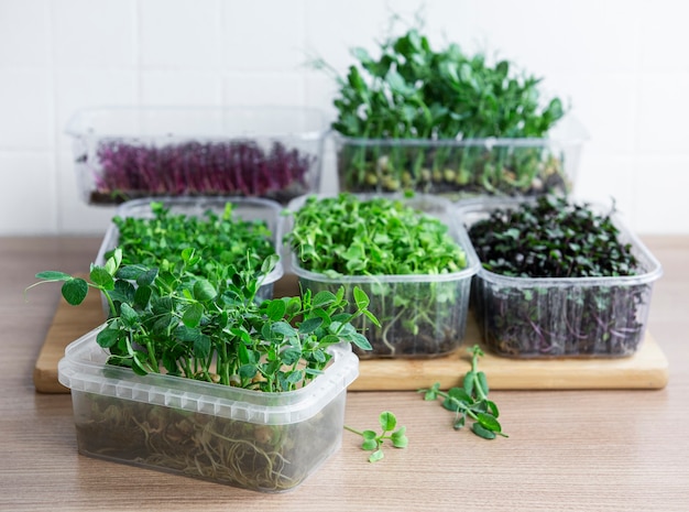 Surtido de micro greens en mesa de madera. Estilo de vida saludable