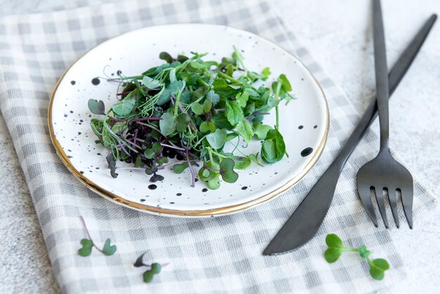 Surtido de micro greens sobre fondo de hormigón. Estilo de vida saludable