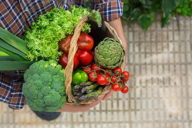 Surtido o mercado de agricultores bio vegetales maduros orgánicos en las manos