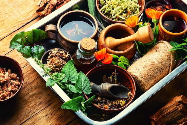 Surtido de plantas medicinales en bandeja